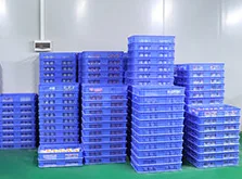 乾燥